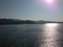 今日も良い天気です。(^o^)/